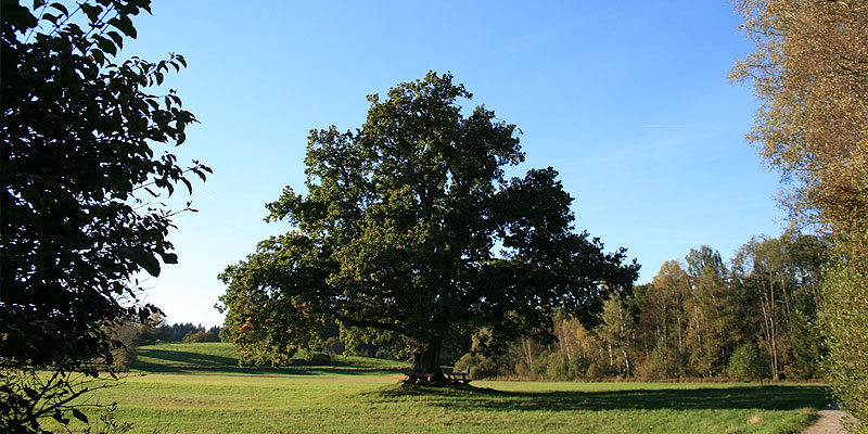 Stacks Image 164